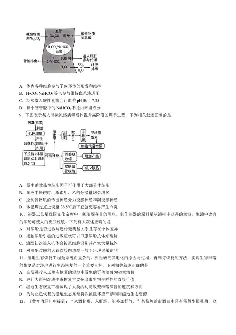 2024届湖南省衡阳市高三第二次联考二模生物试题(无答案)_2024年3月_013月合集_2024届湖南省天一大联考衡阳市高三第二次联考（衡阳二模）