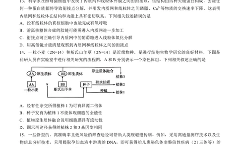 2024届湖南省衡阳市高三第二次联考二模生物试题(无答案)_2024年3月_013月合集_2024届湖南省天一大联考衡阳市高三第二次联考（衡阳二模）