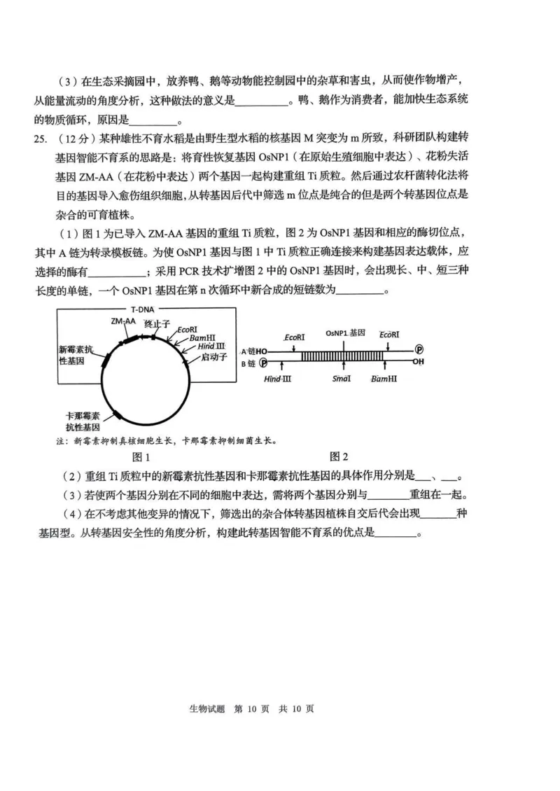 24青岛二模+枣庄三调生物试题_2024年5月_01按日期_10号_2024届山东省青岛市枣庄市高三下学期5月适应性考试_2024届山东省青岛市高三下学期第二次模拟考试生物