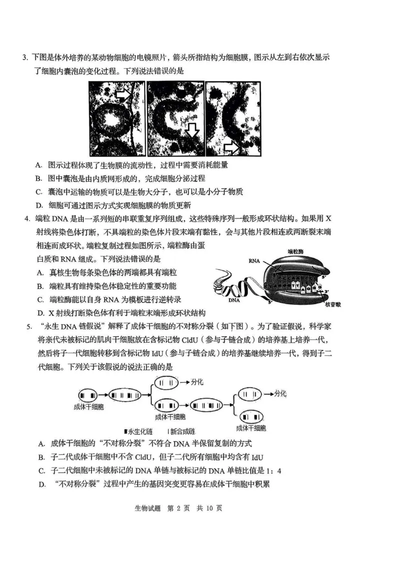 24青岛二模+枣庄三调生物试题_2024年5月_01按日期_10号_2024届山东省青岛市枣庄市高三下学期5月适应性考试_2024届山东省青岛市高三下学期第二次模拟考试生物