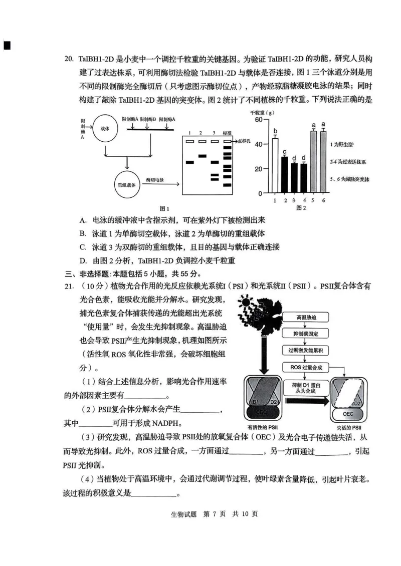 24青岛二模+枣庄三调生物试题_2024年5月_01按日期_10号_2024届山东省青岛市枣庄市高三下学期5月适应性考试_2024届山东省青岛市高三下学期第二次模拟考试生物