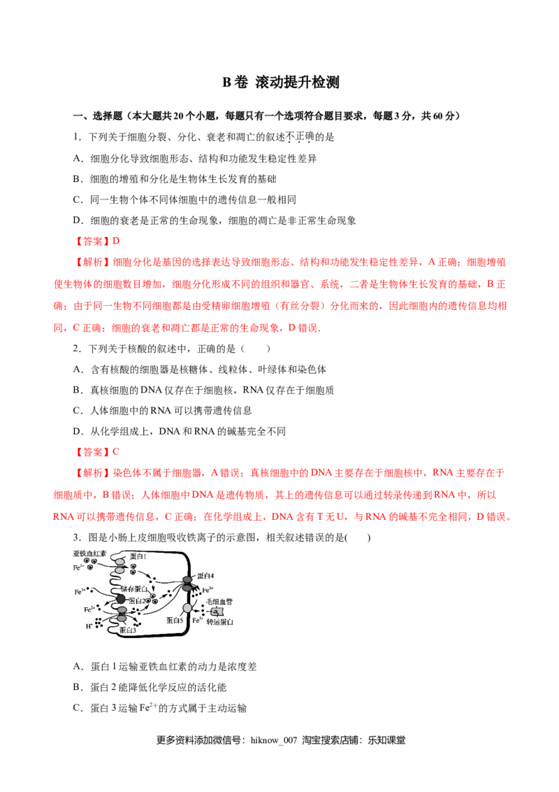 2019人教版必修1期末（B卷滚动提升检测）-2021年高考生物一轮复习单元滚动双测卷（新高考地区专用）（解析版）_E015高中全科试卷_生物试题_必修1_1.单元测试_3.单元测试（第三套）