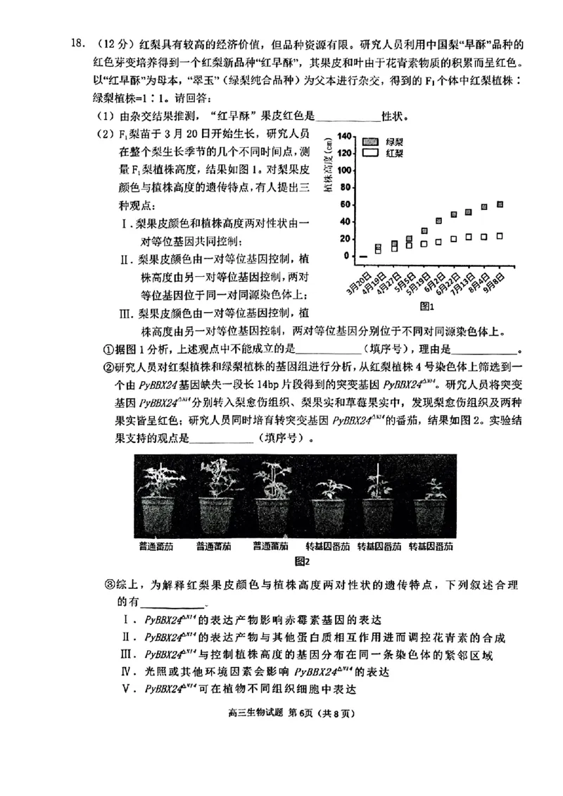2024届福建省泉州市普通高中毕业班质量监测（三）生物含(1)_2024年3月_013月合集_2024届福建省泉州市普通高中毕业班质量监测三