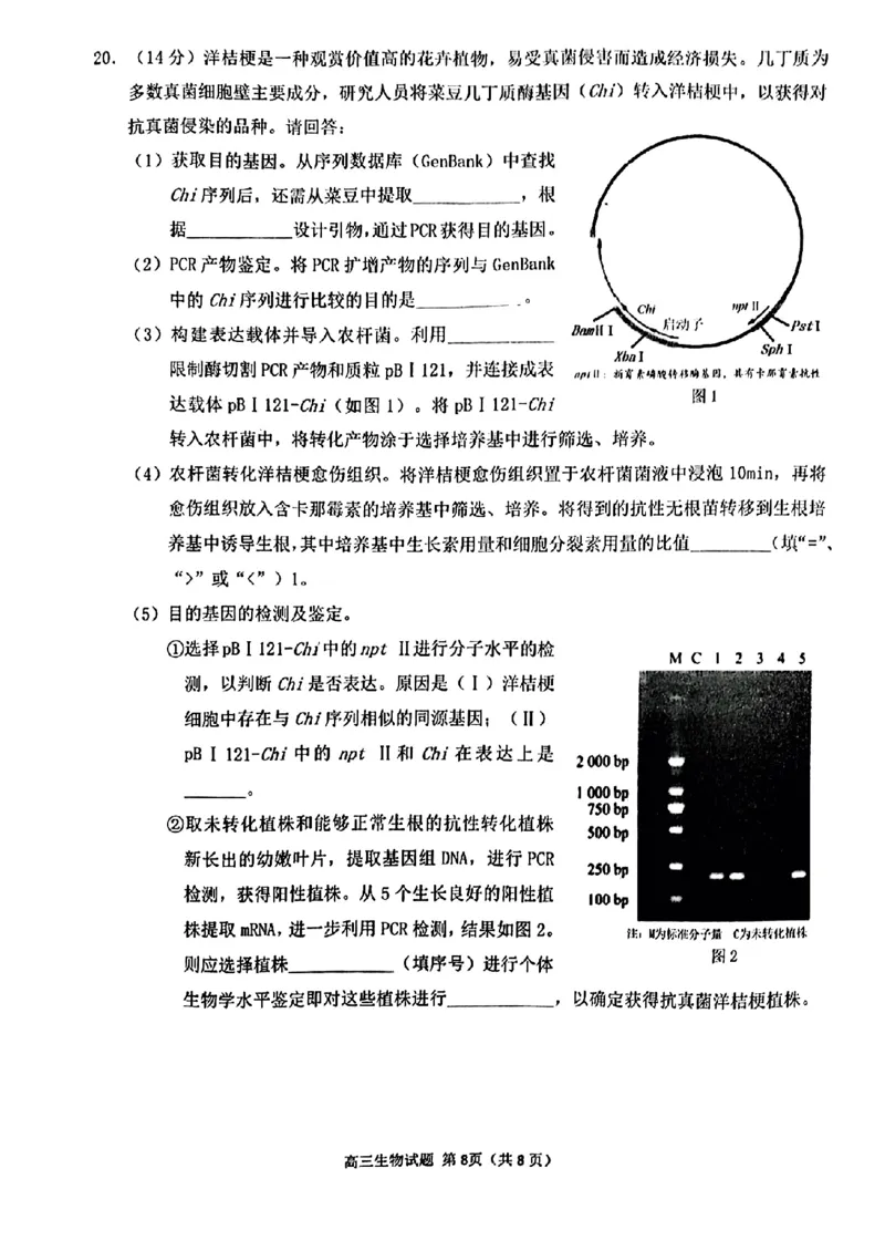 2024届福建省泉州市普通高中毕业班质量监测（三）生物含(1)_2024年3月_013月合集_2024届福建省泉州市普通高中毕业班质量监测三