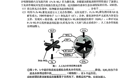 2024届福建省泉州市普通高中毕业班质量监测（三）生物含(1)_2024年3月_013月合集_2024届福建省泉州市普通高中毕业班质量监测三