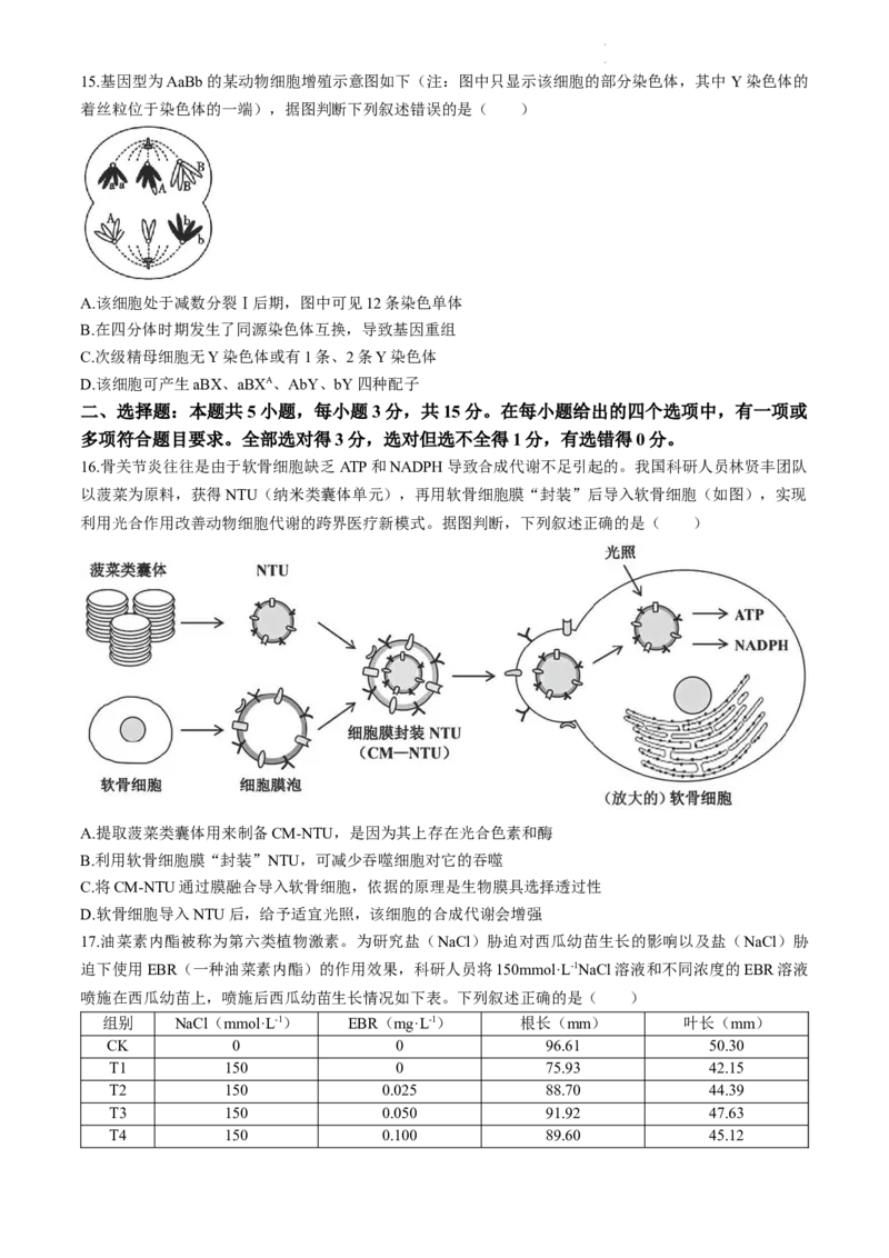 2024届辽宁省沈阳市高三下学期教学质量监测(三）生物试题_2024年5月_01按日期_18号_2024届辽宁省沈阳市高三下学期教学质量监测（三）
