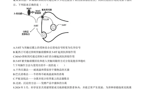 2024届辽宁省沈阳市高三下学期教学质量监测(三）生物试题_2024年5月_01按日期_18号_2024届辽宁省沈阳市高三下学期教学质量监测（三）