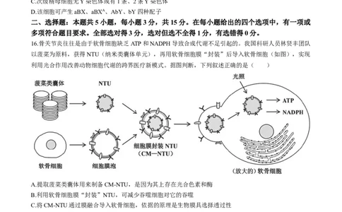 2024届辽宁省沈阳市高三下学期教学质量监测(三）生物试题_2024年5月_01按日期_18号_2024届辽宁省沈阳市高三下学期教学质量监测（三）