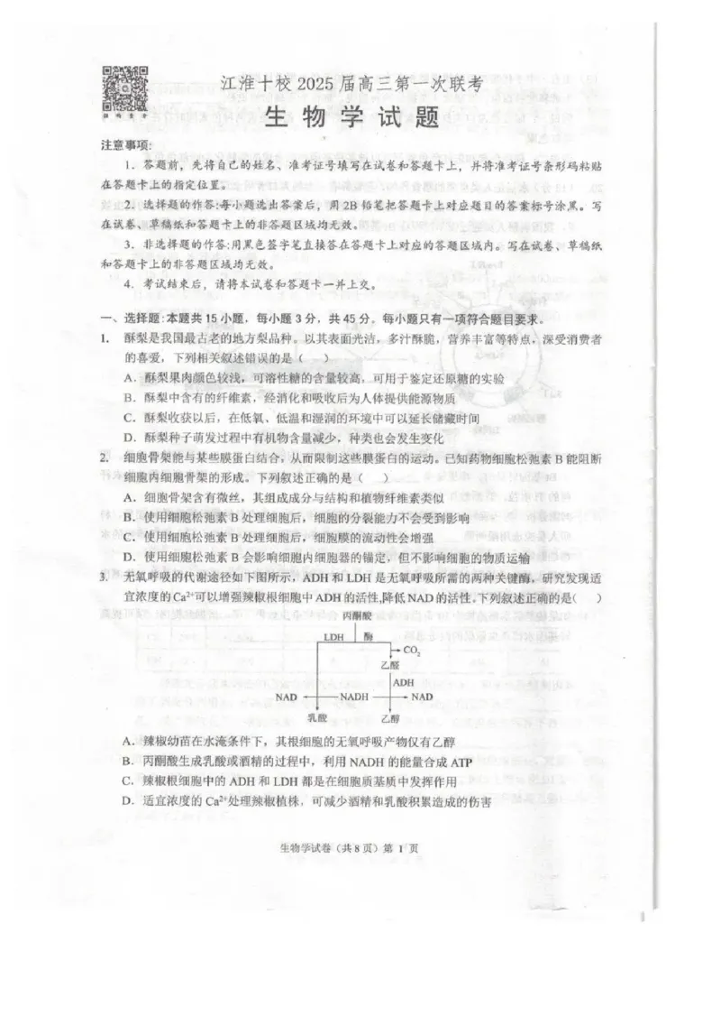 安徽省江淮十校2025届高三年级第一次联考生物学+解析(1)_9月_240901安徽省江淮十校2025届高三年级第一次联考