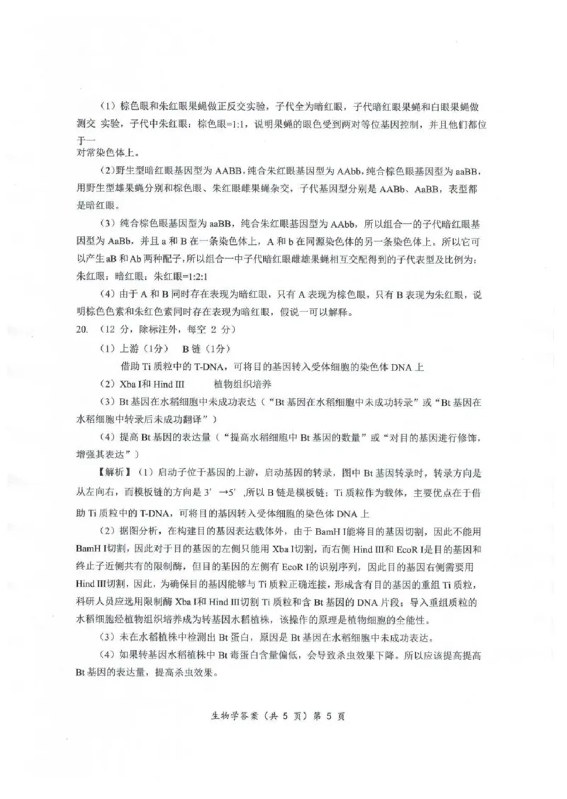 安徽省江淮十校2025届高三年级第一次联考生物学+解析(1)_9月_240901安徽省江淮十校2025届高三年级第一次联考