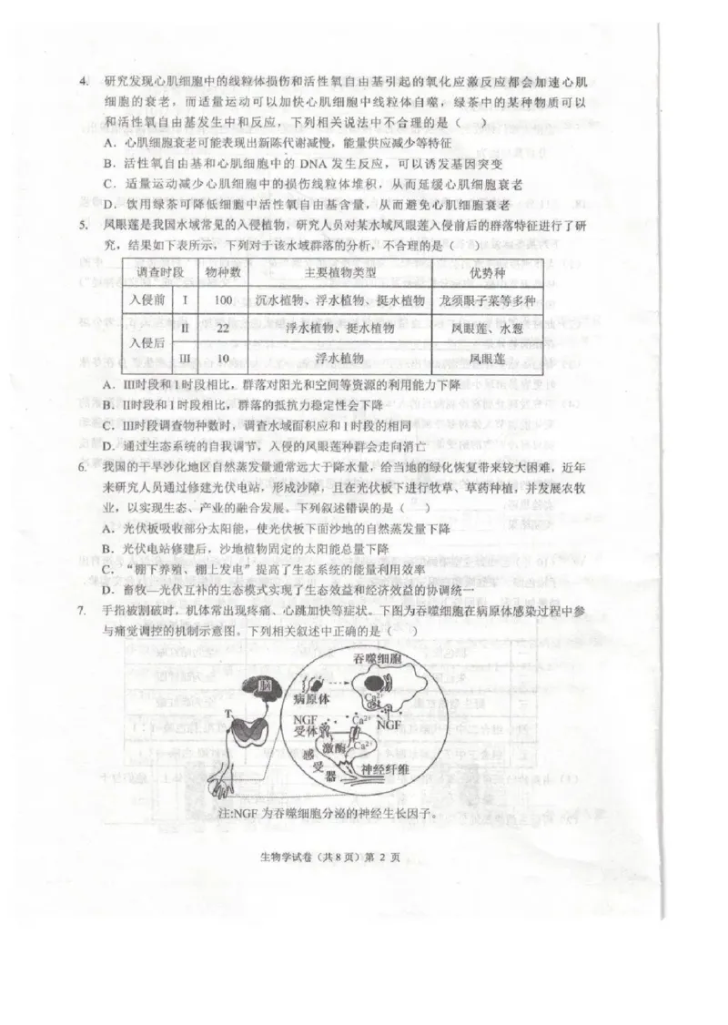 安徽省江淮十校2025届高三年级第一次联考生物学+解析(1)_9月_240901安徽省江淮十校2025届高三年级第一次联考