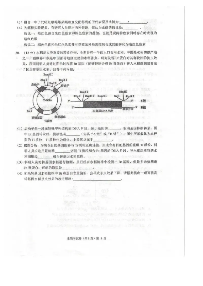 安徽省江淮十校2025届高三年级第一次联考生物学+解析(1)_9月_240901安徽省江淮十校2025届高三年级第一次联考