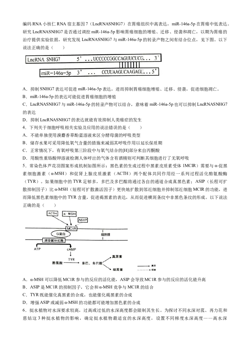 2024届湖南省岳阳市高三下学期第二次教学质量监测（岳阳二模）生物(1)_2024年3月_013月合集_2024届湖南省岳阳市高三下学期第二次教学质量监测（岳阳二模）