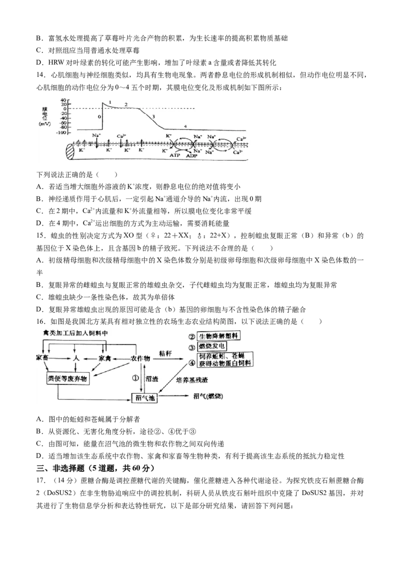 2024届湖南省岳阳市高三下学期第二次教学质量监测（岳阳二模）生物(1)_2024年3月_013月合集_2024届湖南省岳阳市高三下学期第二次教学质量监测（岳阳二模）