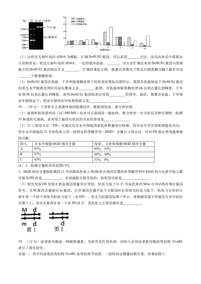 2024届湖南省岳阳市高三下学期第二次教学质量监测（岳阳二模）生物(1)_2024年3月_013月合集_2024届湖南省岳阳市高三下学期第二次教学质量监测（岳阳二模）