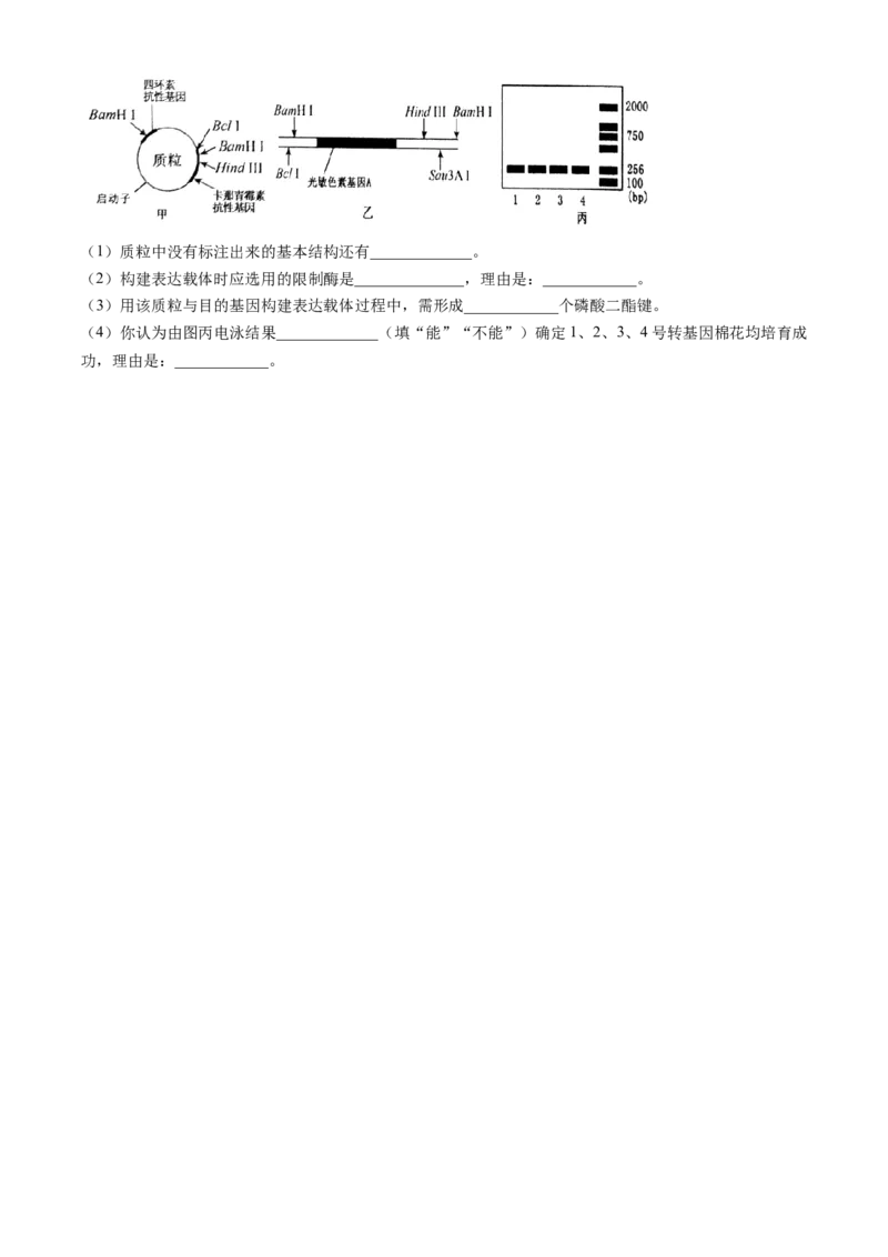 2024届湖南省岳阳市高三下学期第二次教学质量监测（岳阳二模）生物(1)_2024年3月_013月合集_2024届湖南省岳阳市高三下学期第二次教学质量监测（岳阳二模）
