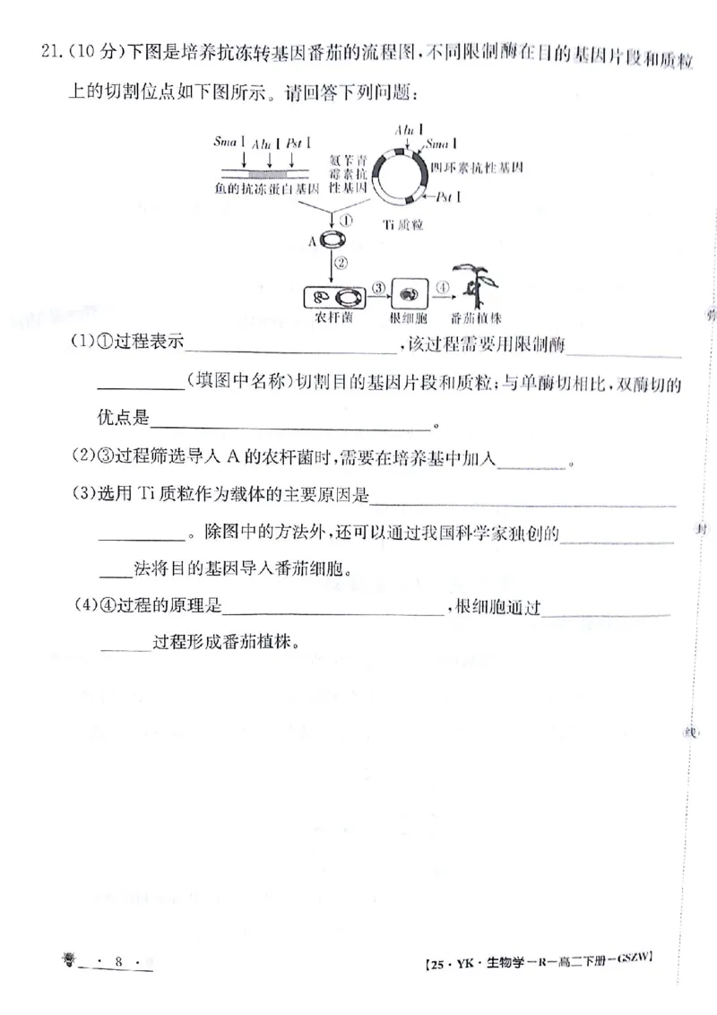 生物试题_6月_240630甘肃省白银市靖远县第一中学2023-2024学年高二下学期6月期末模拟考试