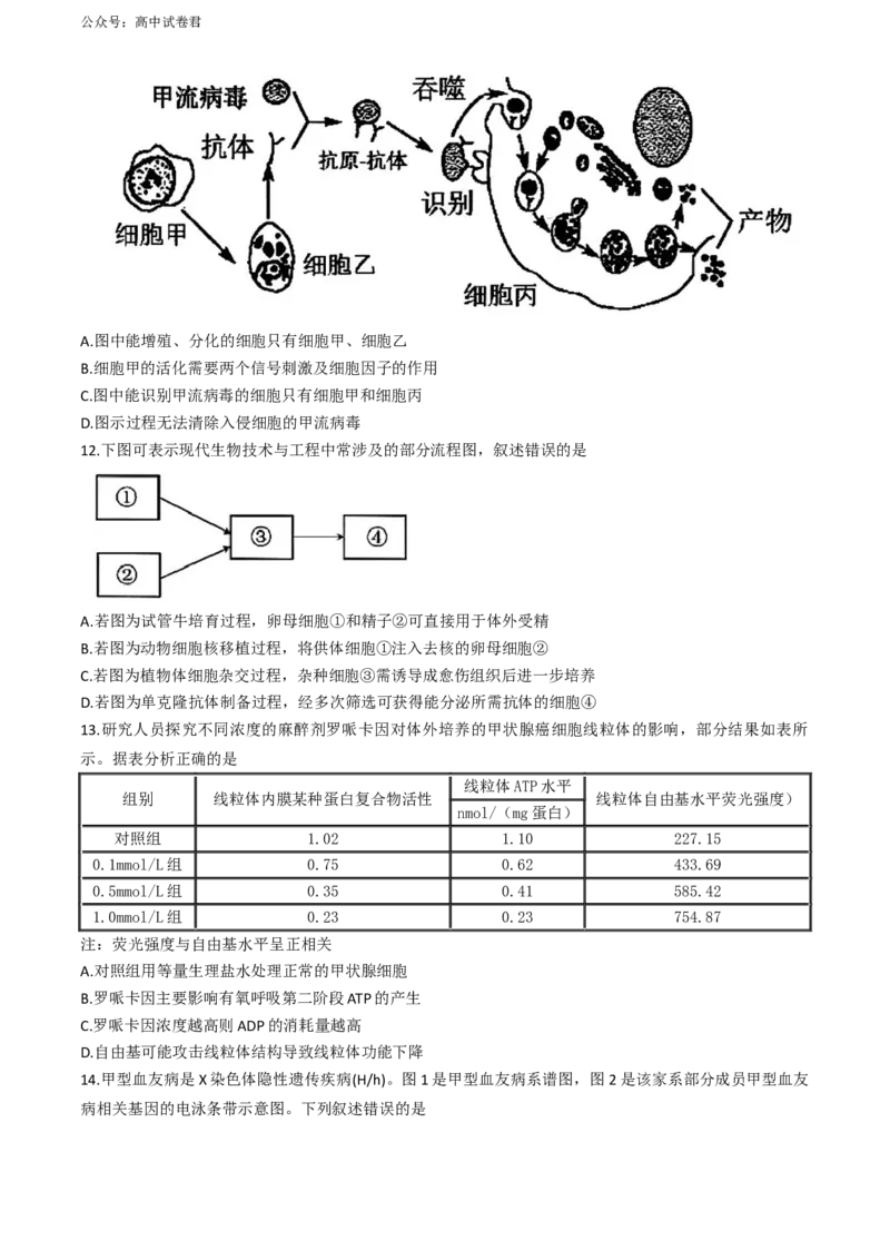 2024届福建省漳州市高三下学期第四次教学质量检测生物试卷+(1)_2024年5月_025月合集_2024届福建省漳州市高三毕业班第四次教学质量检测