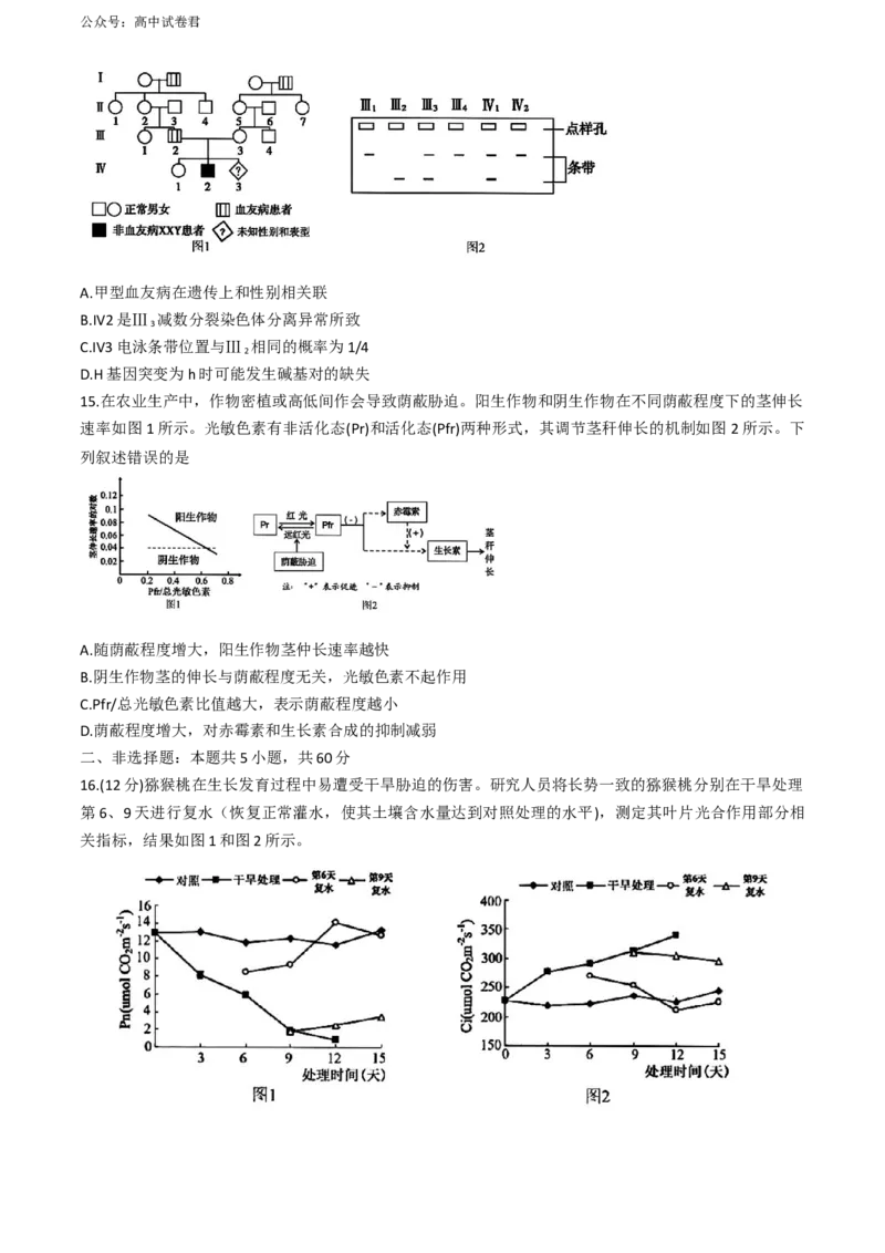 2024届福建省漳州市高三下学期第四次教学质量检测生物试卷+(1)_2024年5月_025月合集_2024届福建省漳州市高三毕业班第四次教学质量检测