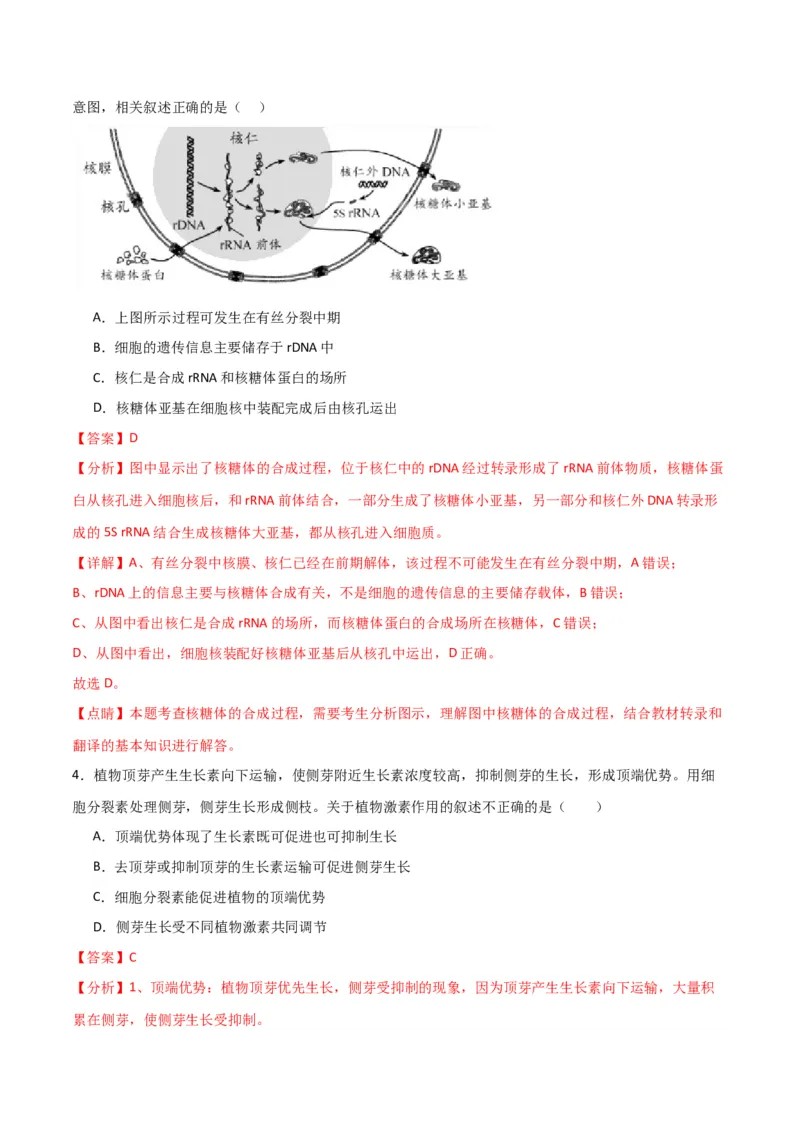 黄金卷04（解析版）-赢在高考&middot;黄金8卷备战2024年高考生物模拟卷（全国卷专用）_2024高考押题卷_92024赢在高考全系列_赢在高考&middot;黄金8卷备战2024年高考生物模拟卷