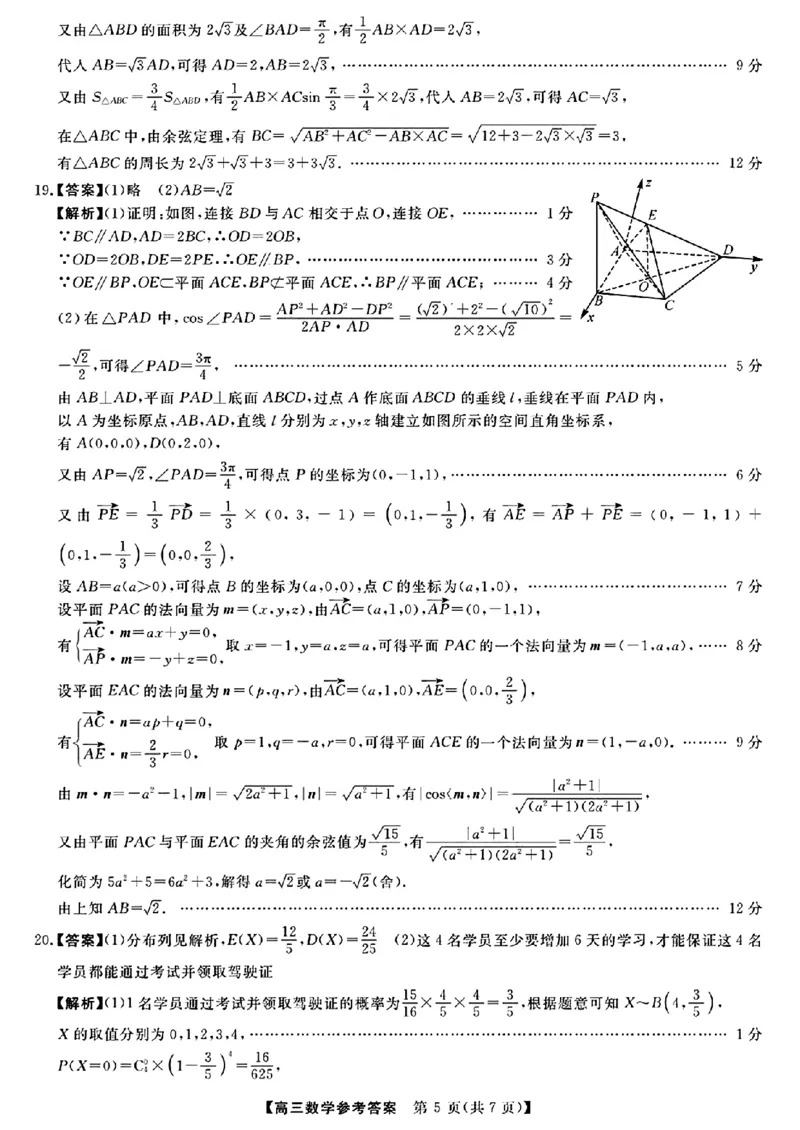 2024福建省百校联考高三正月开学考（金科大联考）数学(1)_2024年2月_022月合集_2024届福建省百校联考高三正月开学考（金科大联考）