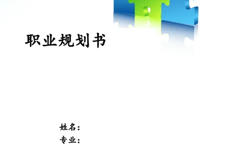 职业规划书模型_E6-职业规划_06公共管理专业