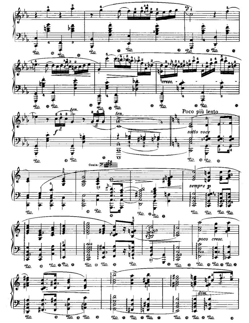 13nocturne-op-48-no-1_一万首著名钢琴曲谱哈农贝多芬合集视频教学电子版高清无水印可打印_1古典钢琴知名音乐家谱_肖邦钢琴谱全集_夜曲2版