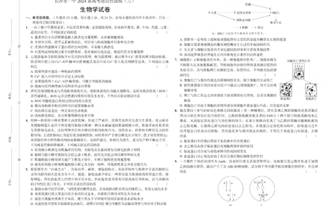 2024届湖南省长沙市第一中学高三下学期高考适应性演练(三）生物试题_2024年5月_01按日期_11号_2024届湖南省长沙市第一中学高考适应性演练(三）