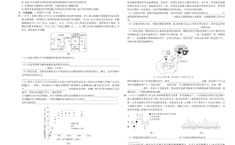 2024届湖南省长沙市第一中学高三下学期高考适应性演练(三）生物试题_2024年5月_01按日期_11号_2024届湖南省长沙市第一中学高考适应性演练(三）