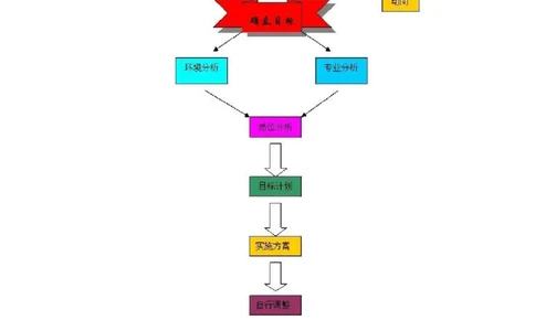 电子商务专业版职业生涯规划书_E6-职业规划_13电子商务专业