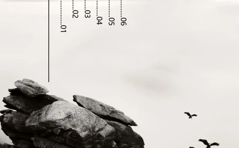 职业规划范本(05)_E6-职业规划_01精选word模板（推荐使用，修改后可用）