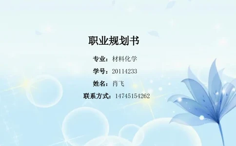 材料化学职业生涯规划书_E6-职业规划_33化学专业