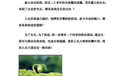 职业规划范本(16)_E6-职业规划_01精选word模板（推荐使用，修改后可用）