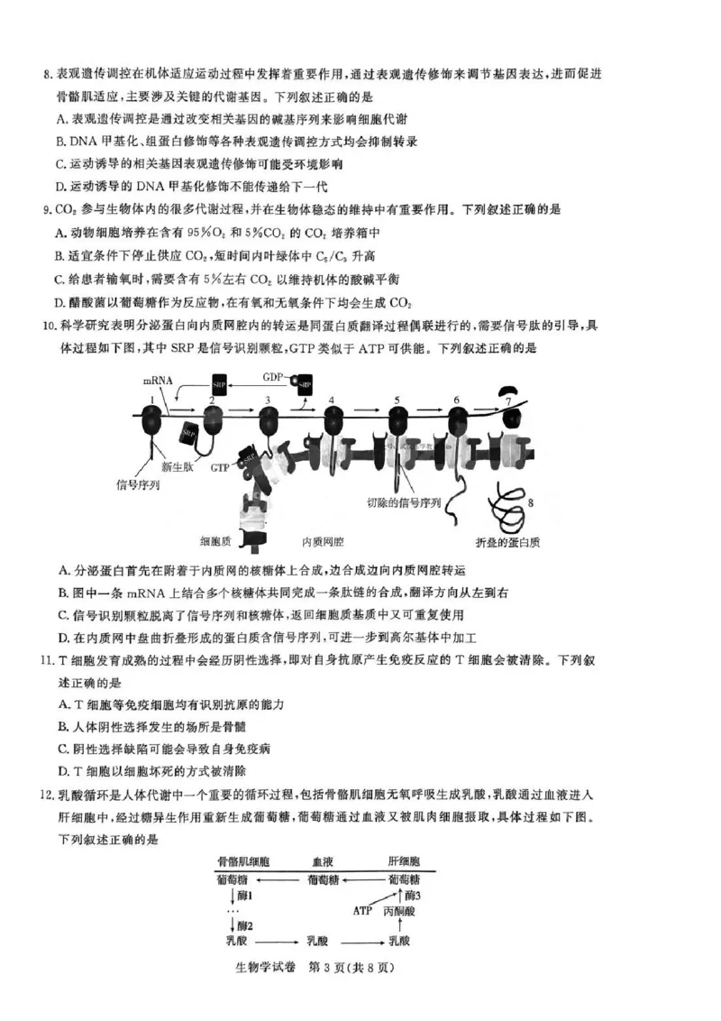 生物试卷_8月_240822湖北省圆创联盟2025届高三上学期8月开学考暨湖北省高中名校联盟2025届高三第一次联合测评_湖北省圆创联盟2025届高三上学期8月开学考生物