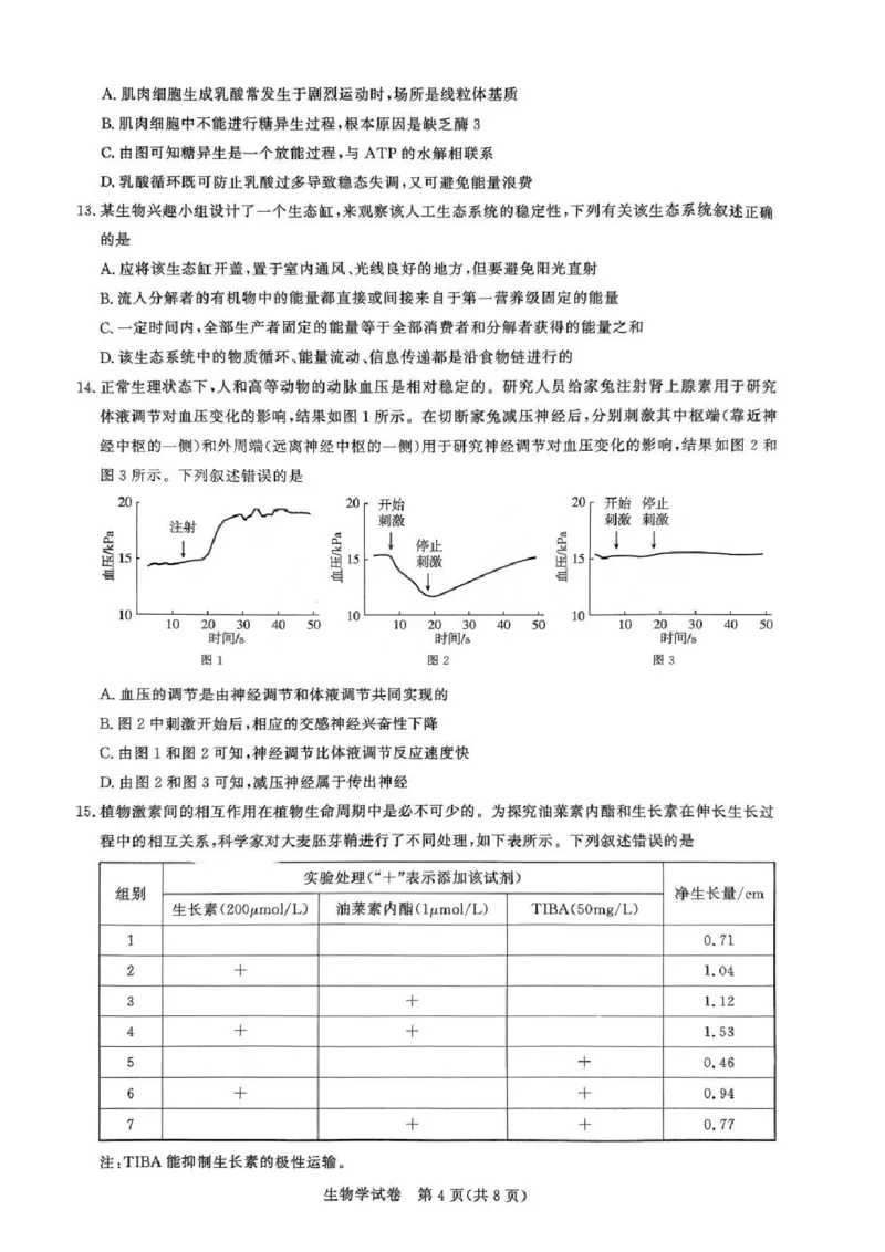 生物试卷_8月_240822湖北省圆创联盟2025届高三上学期8月开学考暨湖北省高中名校联盟2025届高三第一次联合测评_湖北省圆创联盟2025届高三上学期8月开学考生物