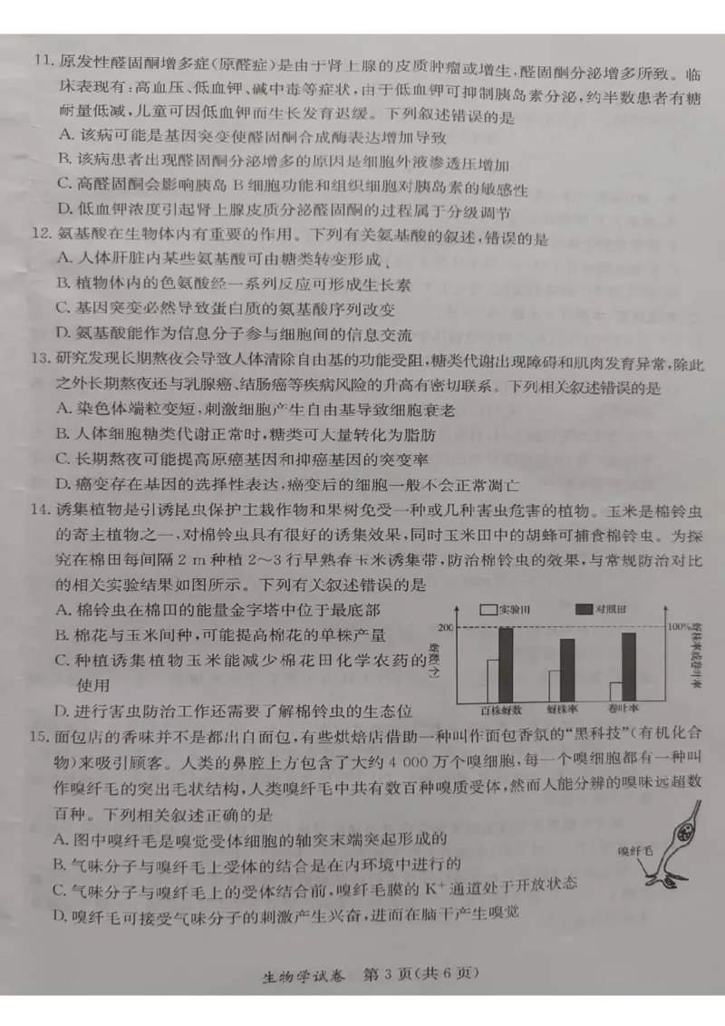 2024年5月桂林、来宾、北海高三三模生物试卷(1)_2024年5月_025月合集_2024届广西省桂林来宾北海高三三模
