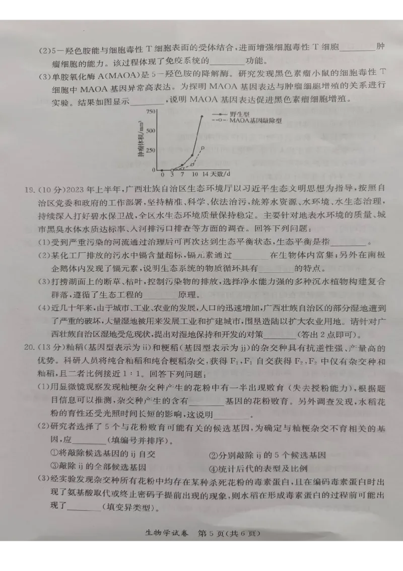 2024年5月桂林、来宾、北海高三三模生物试卷(1)_2024年5月_025月合集_2024届广西省桂林来宾北海高三三模