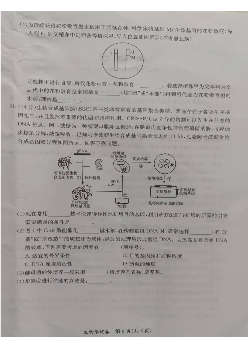 2024年5月桂林、来宾、北海高三三模生物试卷(1)_2024年5月_025月合集_2024届广西省桂林来宾北海高三三模