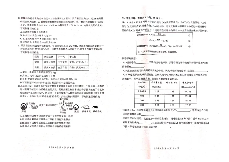 生物试卷_8月_240812湖北省腾云联盟2024-2025学年高三上学期8月联考_8-生物