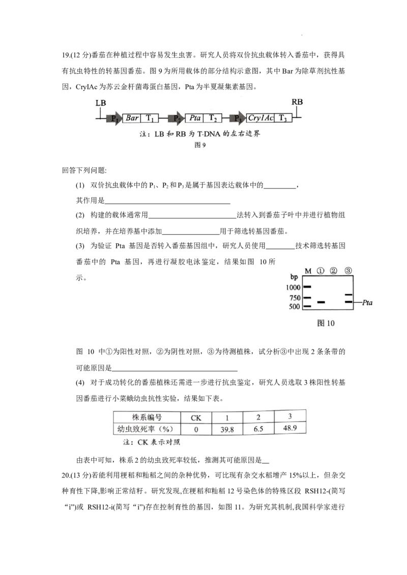 2024年深圳市高三年级第一次调研考试生物试题（文字版）_2024年3月_013月合集_2024届广东省深圳市高三一模考试_2024年深圳市高三年级第一次调研考试生物
