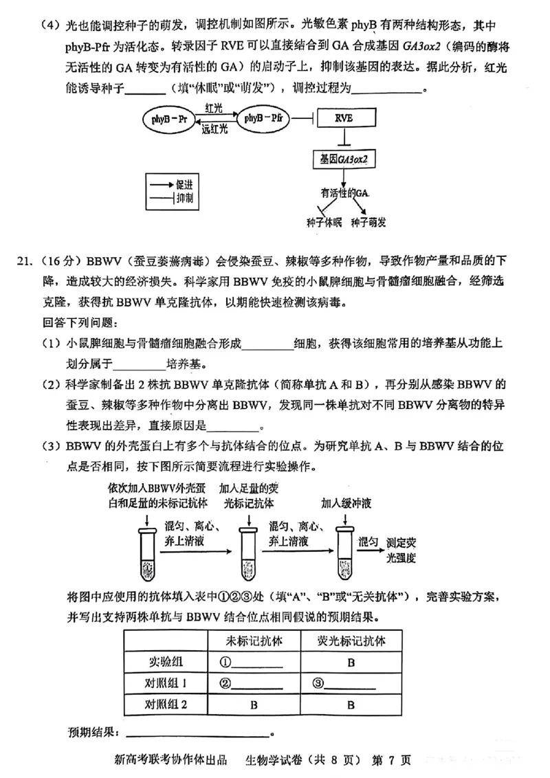 2024届湖北省新高考协作体高三下学期一模考试生物(1)_2024年4月_024月合集_2024届湖北省新高考协作体高三下学期一模考试