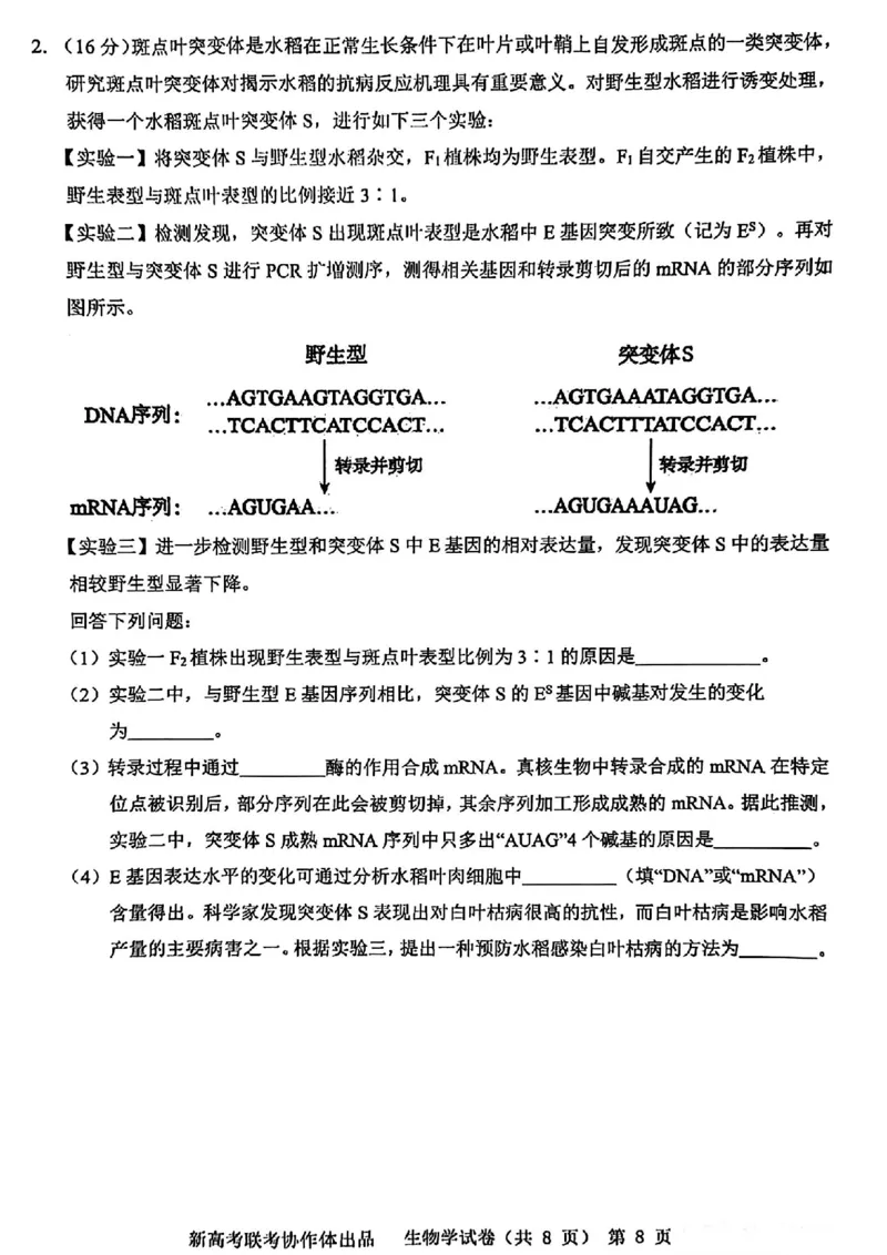 2024届湖北省新高考协作体高三下学期一模考试生物(1)_2024年4月_024月合集_2024届湖北省新高考协作体高三下学期一模考试