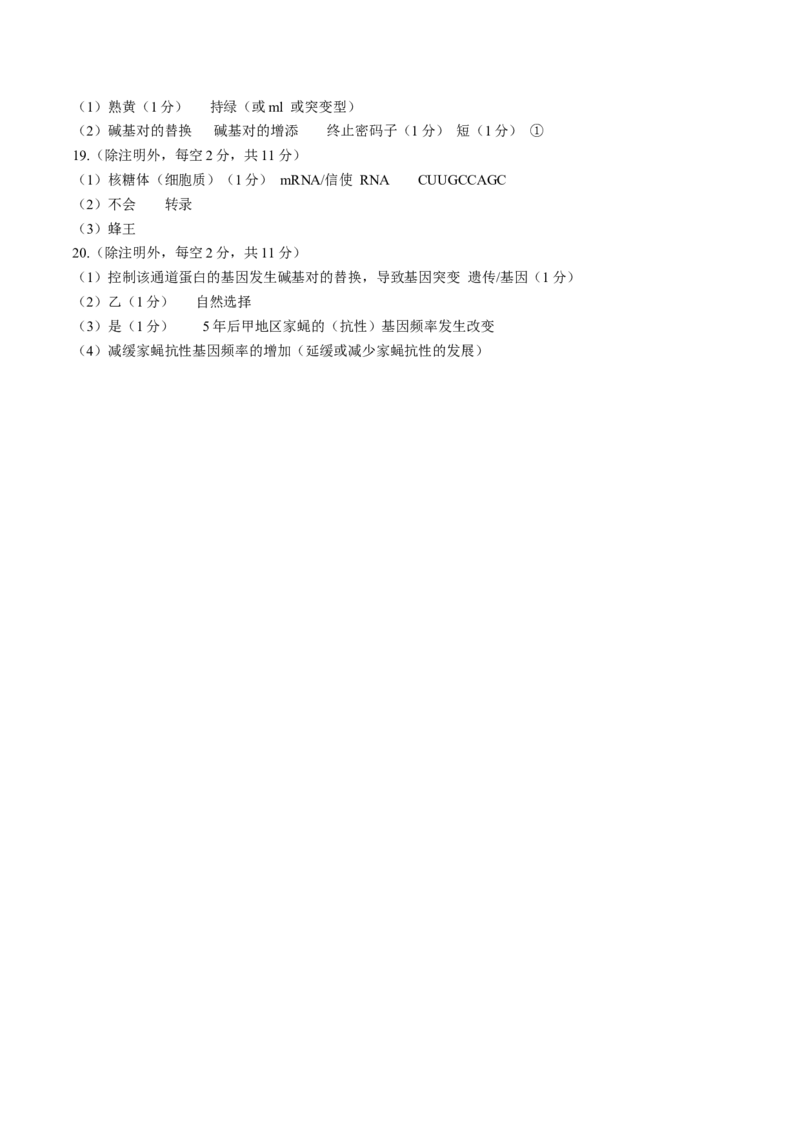 安徽毛坦厂实验中学2025届高三11月期中考试生物+答案_12月_241202安徽毛坦厂实验中学2025届高三11月期中考试