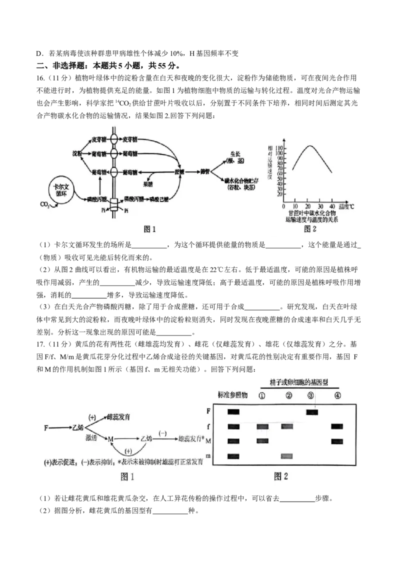 安徽毛坦厂实验中学2025届高三11月期中考试生物+答案_12月_241202安徽毛坦厂实验中学2025届高三11月期中考试