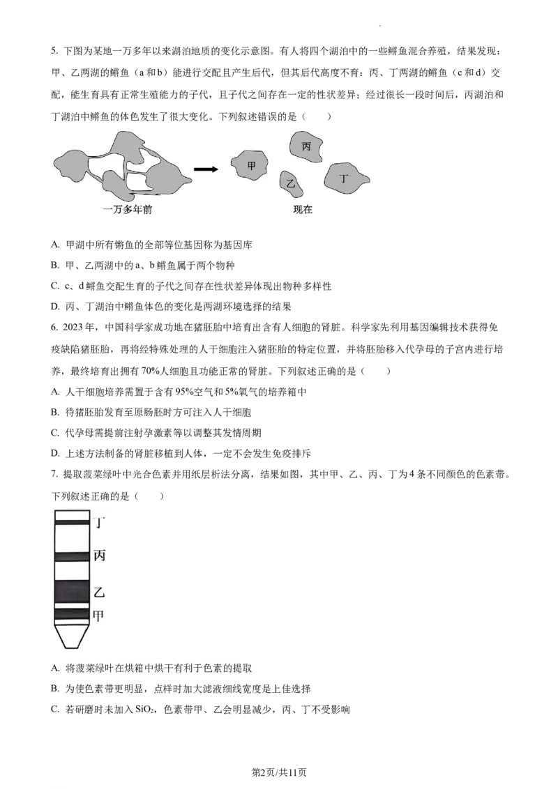 2024届浙江省绍兴市高三下学期4月适应性考试生物试卷Word版无答案_2024年4月_01按日期_14号_2024届浙江省绍兴市高三下学期4月二模