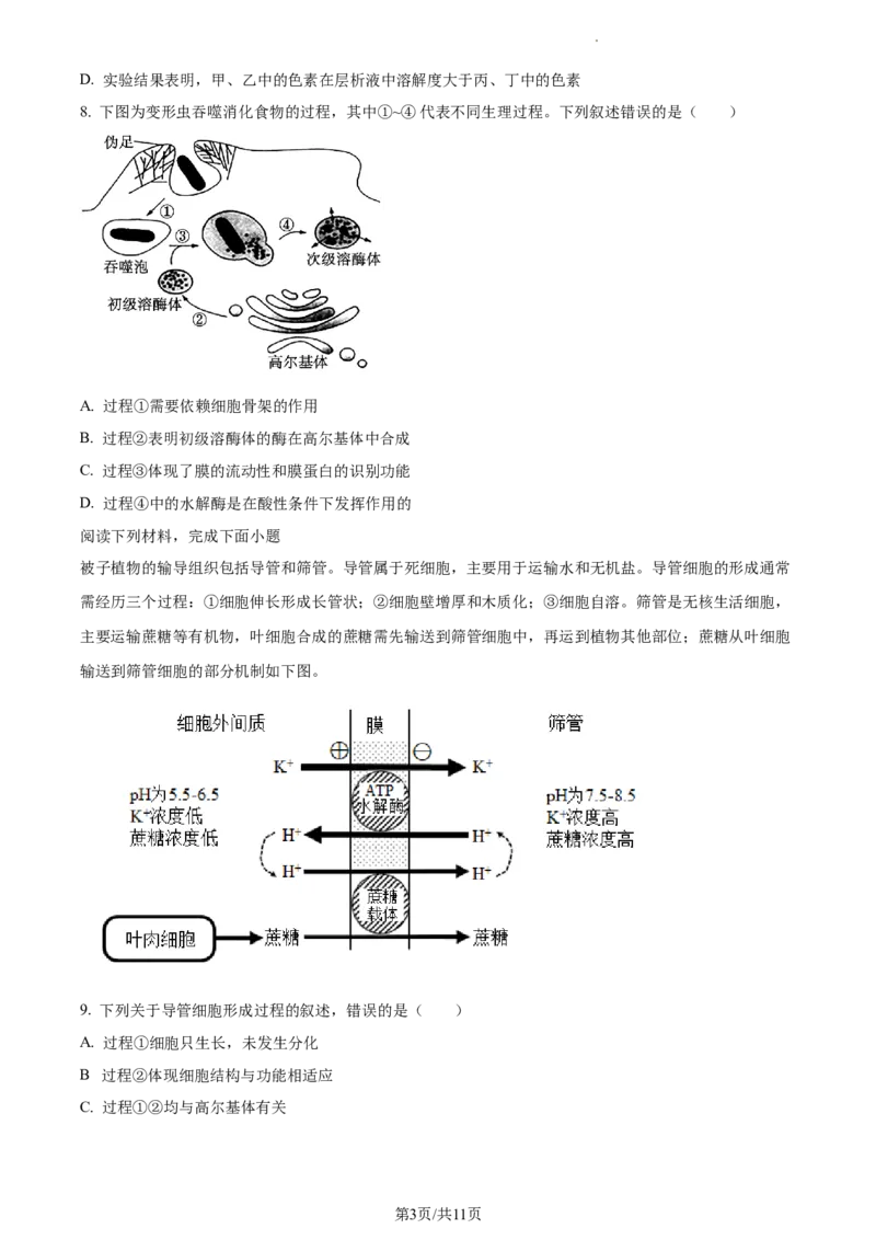 2024届浙江省绍兴市高三下学期4月适应性考试生物试卷Word版无答案_2024年4月_01按日期_14号_2024届浙江省绍兴市高三下学期4月二模