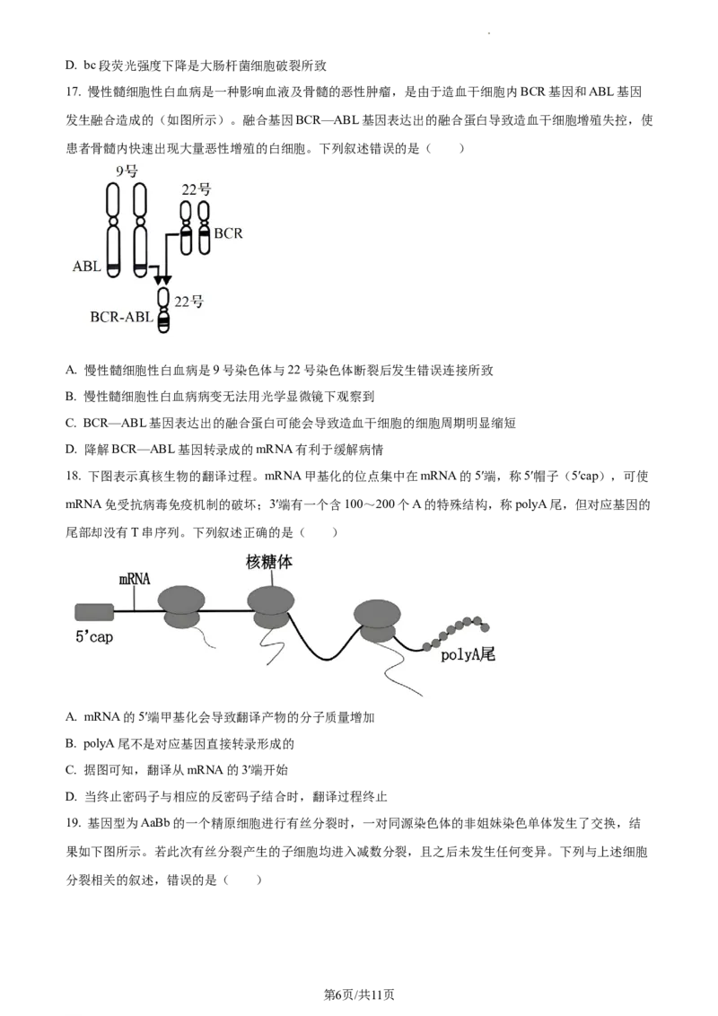 2024届浙江省绍兴市高三下学期4月适应性考试生物试卷Word版无答案_2024年4月_01按日期_14号_2024届浙江省绍兴市高三下学期4月二模