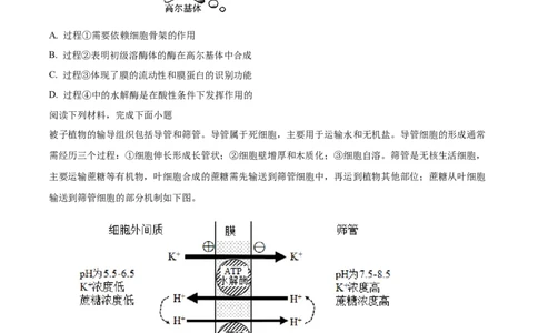 2024届浙江省绍兴市高三下学期4月适应性考试生物试卷Word版无答案_2024年4月_01按日期_14号_2024届浙江省绍兴市高三下学期4月二模
