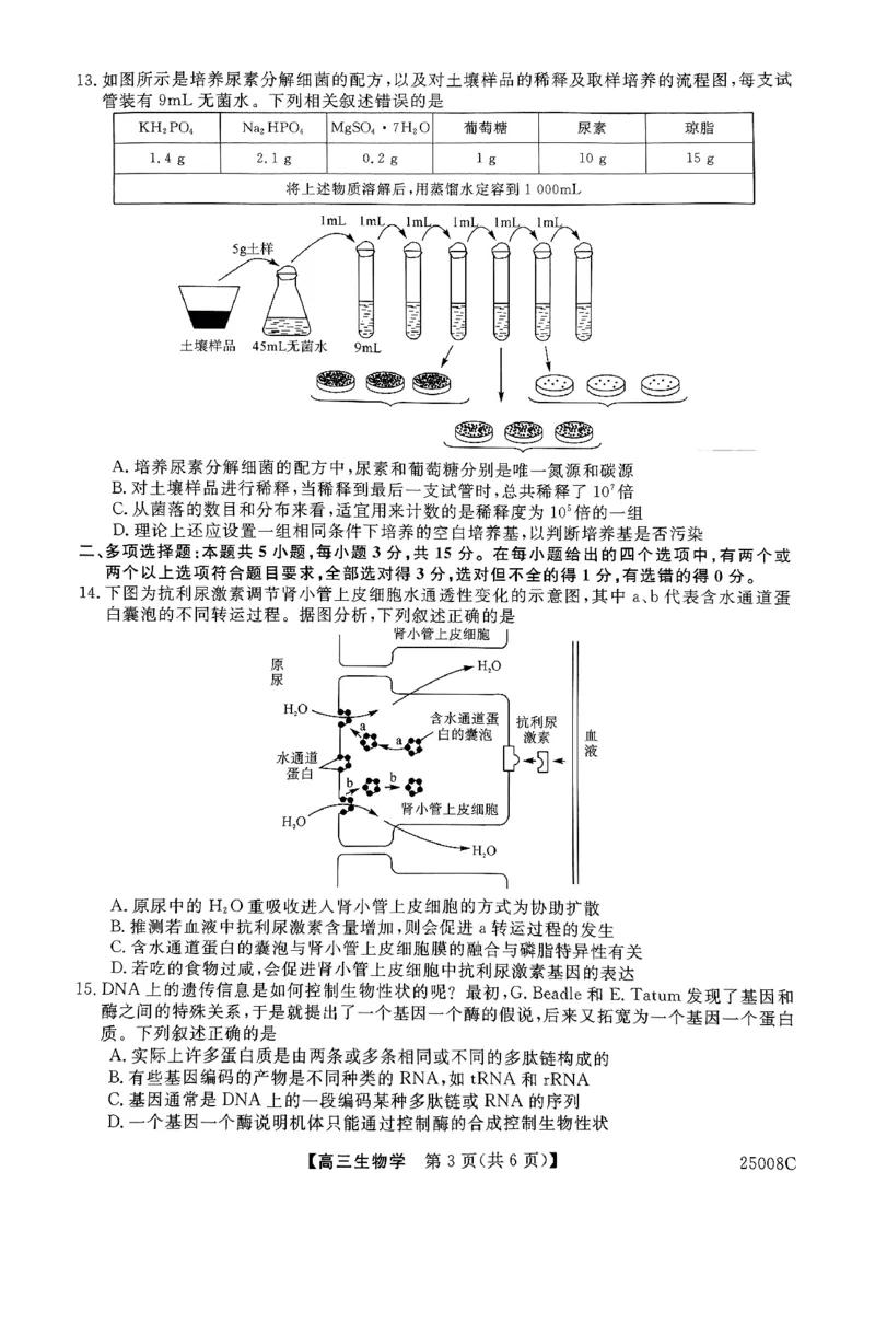 生物学_8月_240819山西省朔州市怀仁市第一中学校2025届高三上学期摸底考试_山西省朔州市怀仁市第一中学校2024-2025学年高三上学期摸底考试生物学试题
