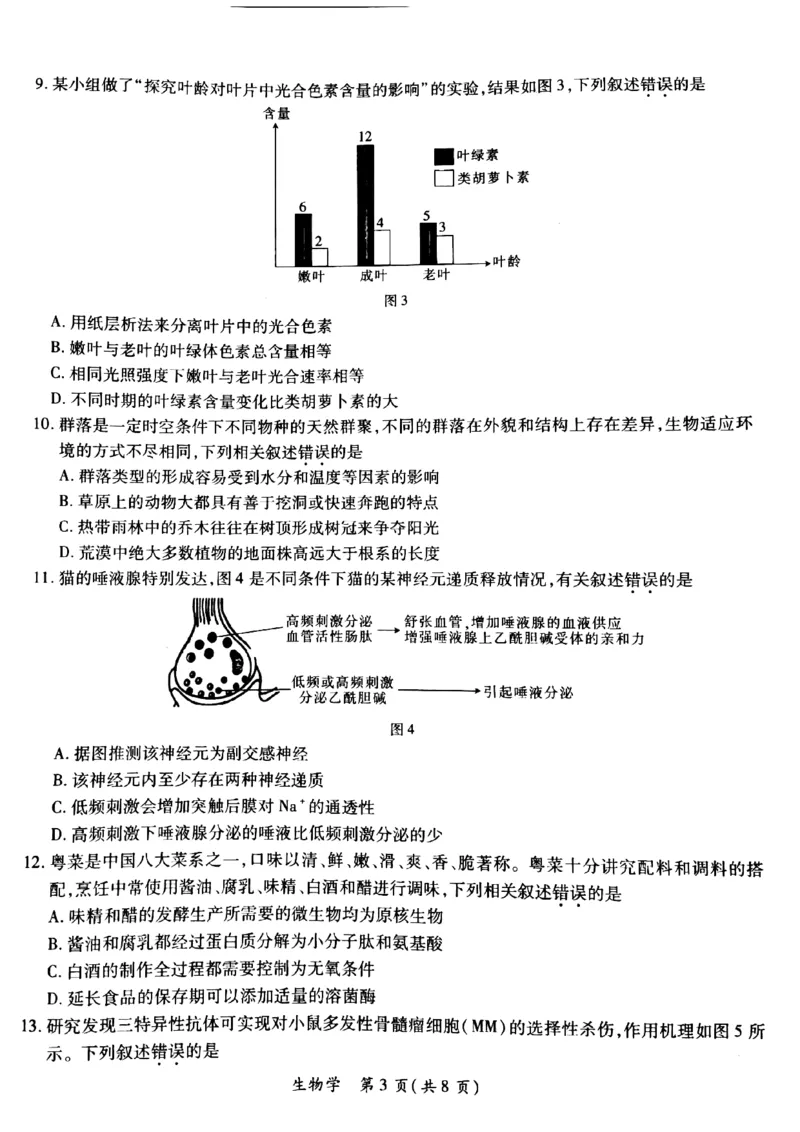 2024年茂名市高三年级第二次综合测试生物试卷_2024年4月_01按日期_15号_2024届广东省茂名高三年级第二次综合测试_2024年茂名市高三年级第二次综合测试生物